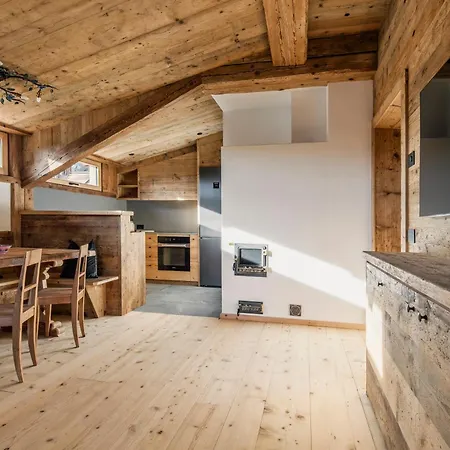 公寓 Ronco - Dolomiti Skyline 科尔蒂纳丹佩佐